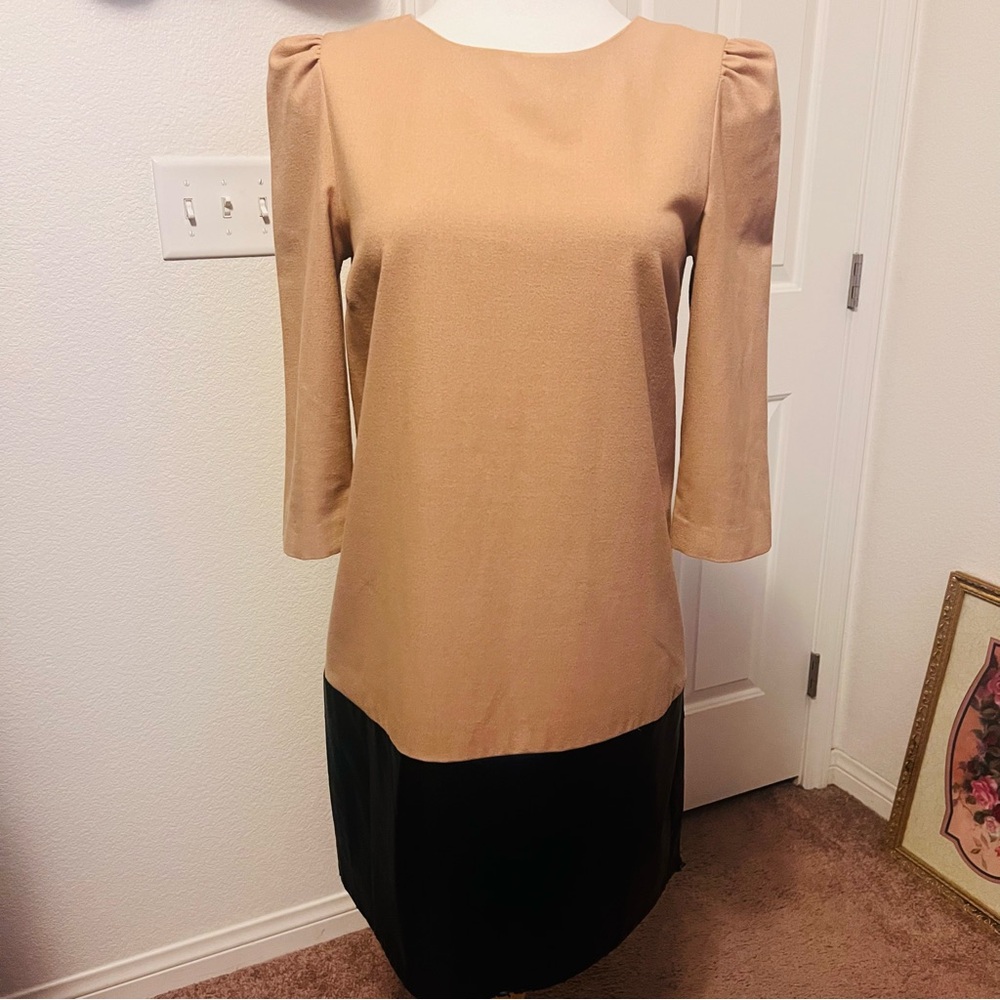 Zara Tan and Black pleather Long Sleeve Dress